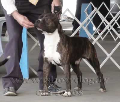 Clique sobre a foto para fechar